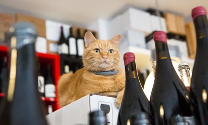 Le Lieu du Vin